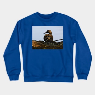 Devilish duck Crewneck Sweatshirt